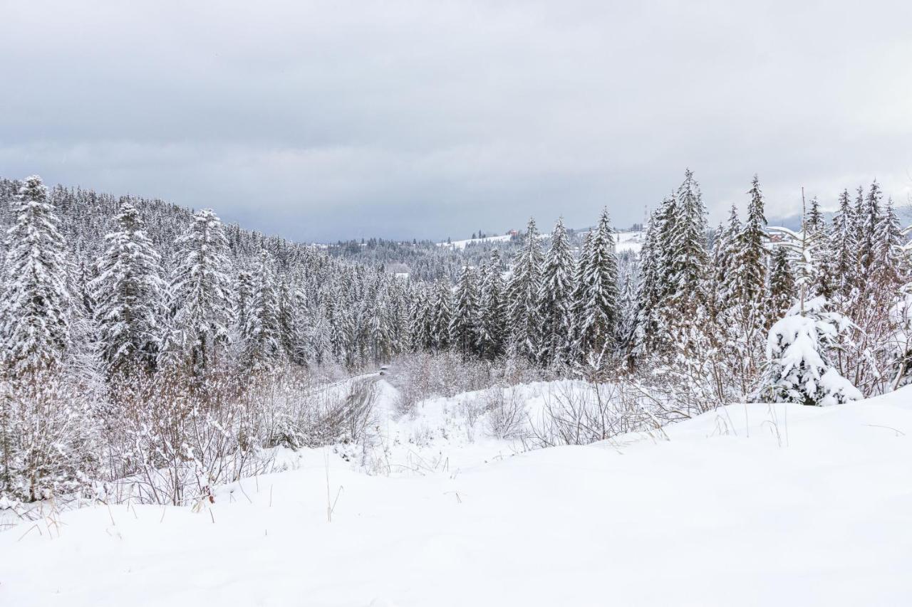 Rich Oak - Готель З Відкритим Панорамний Басейном Yablunytsya Exterior photo